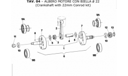 ALBERO MOTORE 22MM TM Kart KZ10 KZ10B 